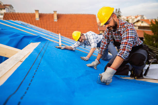 Roof Waterproofing Services in Mackinaw, IL