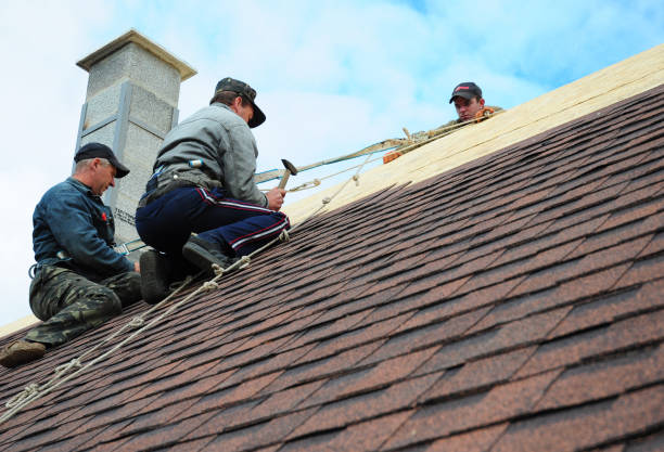 Best Roof Gutter Cleaning  in Mackinaw, IL