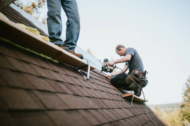 Best Roof Maintenance Services  in Mackinaw, IL