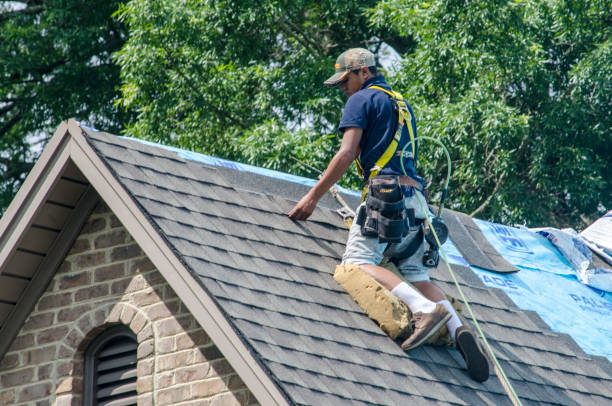 Best Roof Restoration Services  in Mackinaw, IL